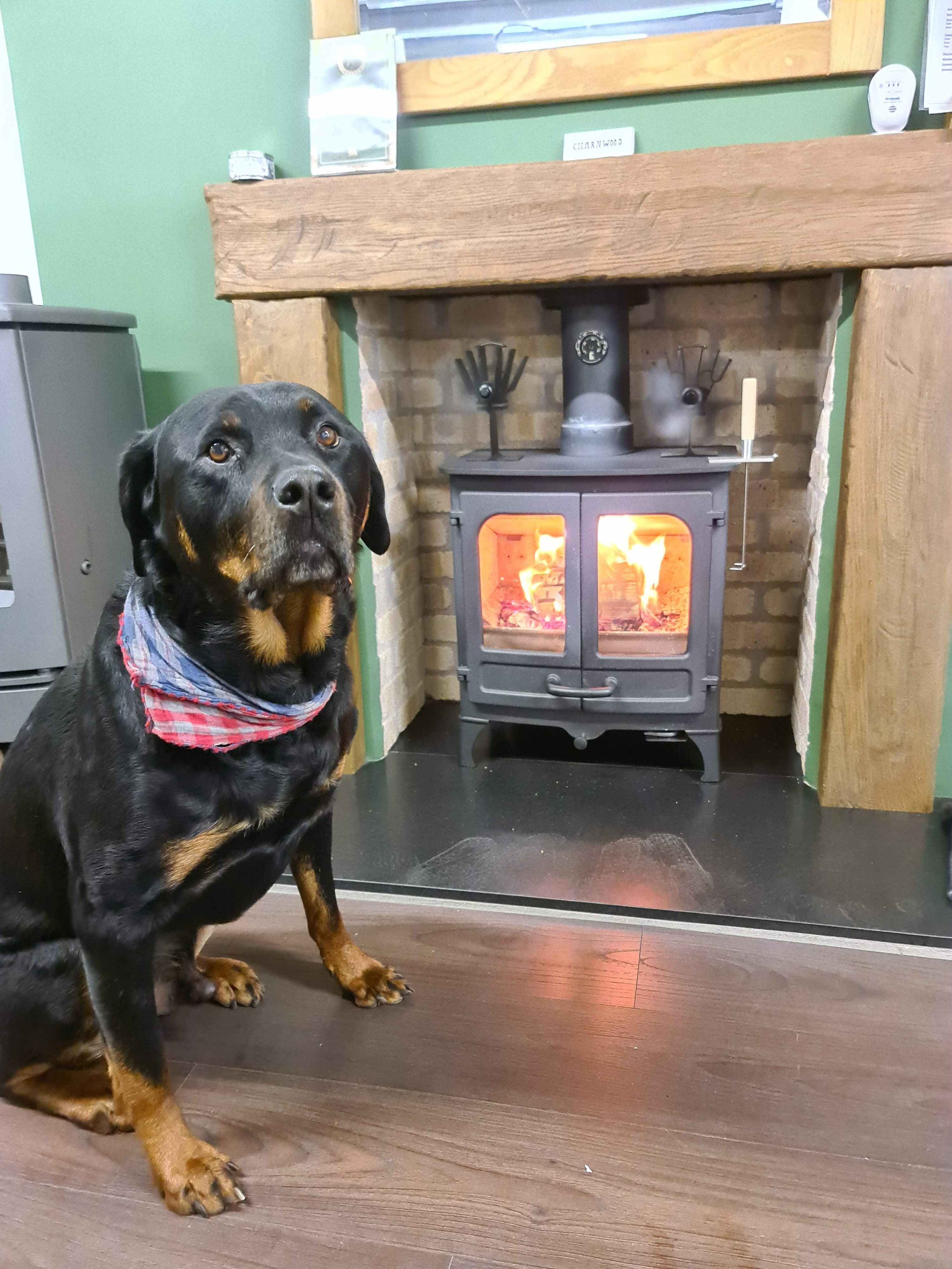 Wood-burning stove installed in a living room with exposed brick